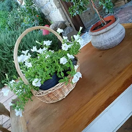 Privacy E Relax Gasthuis
